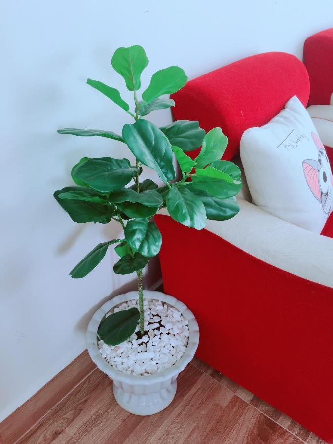 Doc Homestay Đà Lạt Extérieur photo